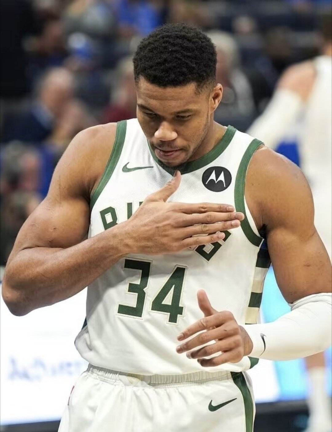 关于雄鹿取得胜利,击败人,字母哥贡献全面表现的信息 关于雄鹿取得胜利,击败人,字母哥贡献全面表现的信息