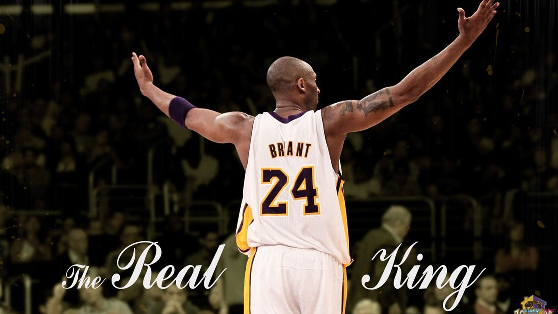 教科书般的未来,文班亚马在活塞对阵湖人比赛中的统治级表现