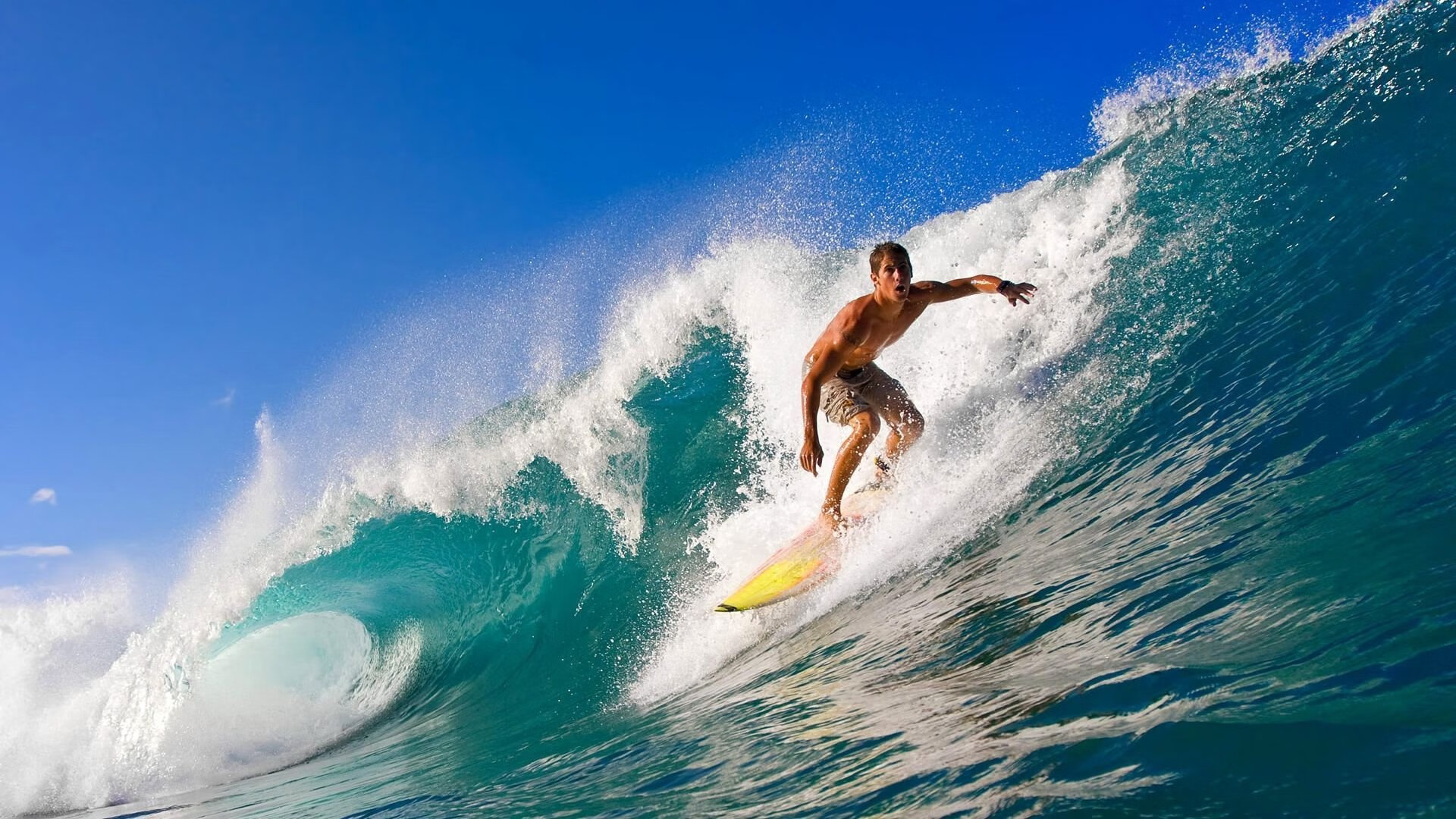 以下是为您构思的文章标题及内容